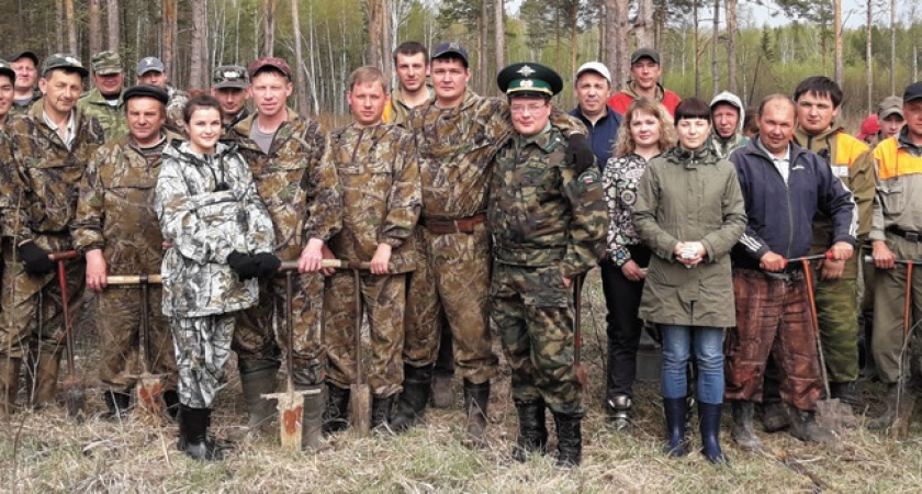 Мир стал зеленее