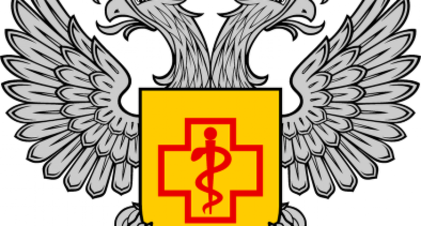 Битва дружин