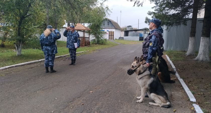 Учебно-методические сборы кинологов начались в ИК-47