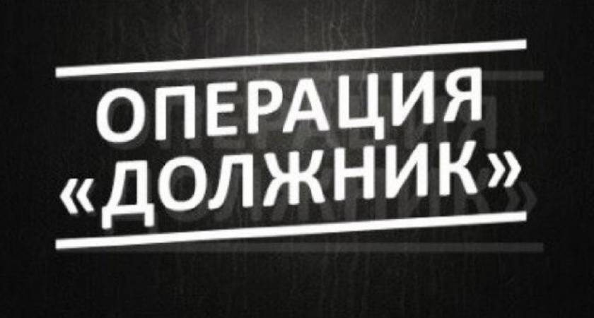 Профилактическая операция «Должник»