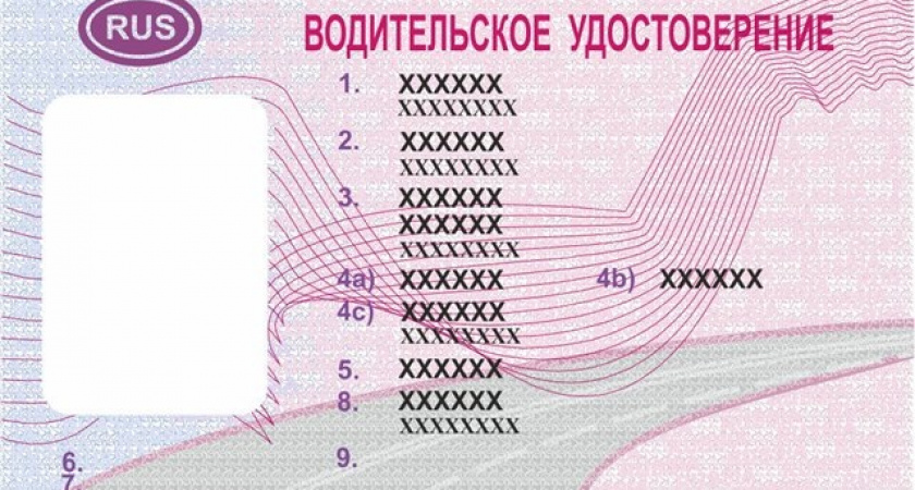 Срок предоставления государственной услуги "получение водительского удостоверения"