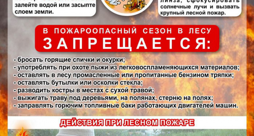 Внимание! Лесные пожары