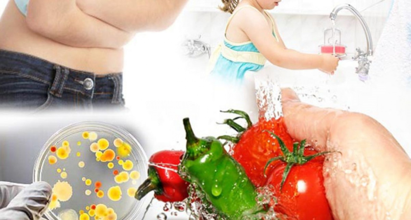 Меры профилактики острой кишечной инфекции