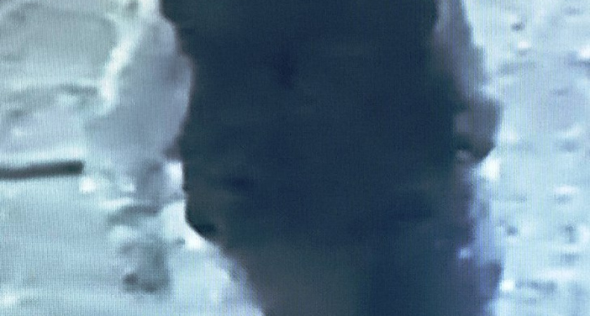 Внимание! Розыск подозреваемого!