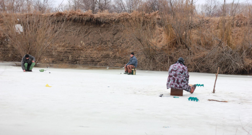 Уха не стоит жизни
