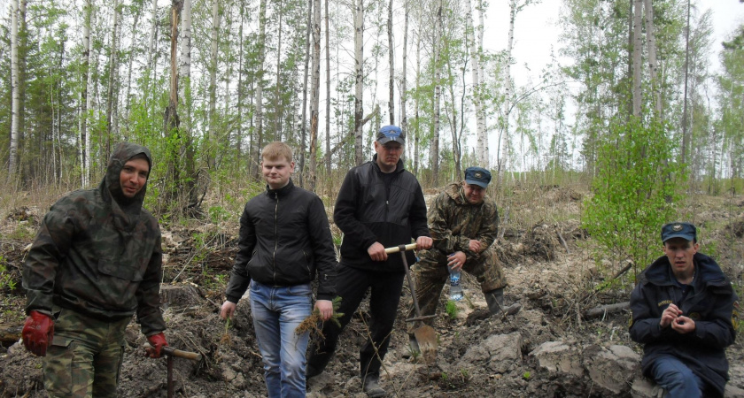 Ирбитские пожарные приняли участие в высадке леса