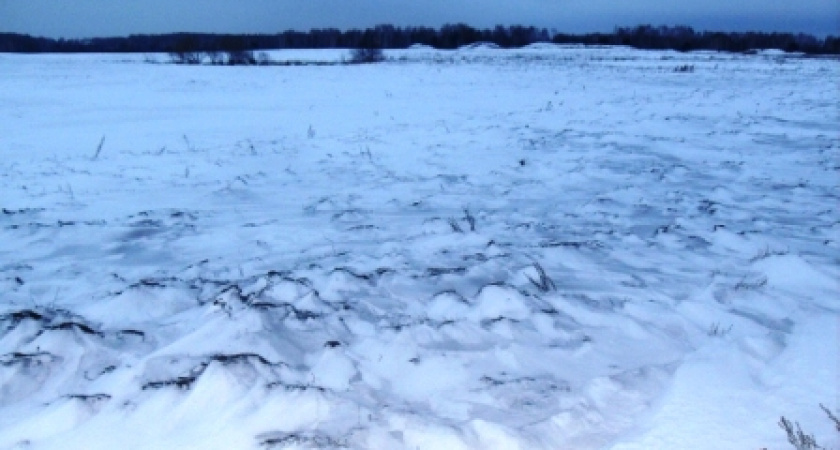 О введении в оборот заросшего участка сельскохозяйственного назначения