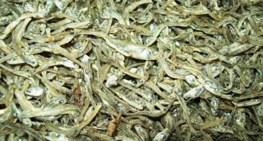 Фото к статье: О попытке ввоза в Свердловскую область потенциально опасной продукции из Китая