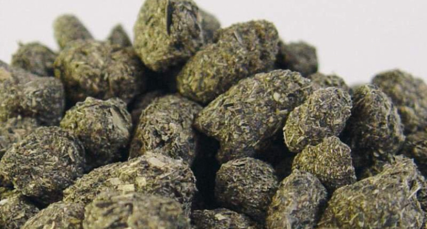 В Ирбитский район поступила продукция из зоны распространения амброзии трехраздельной