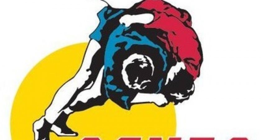 Соревнования по самбо в честь Дня народного единства