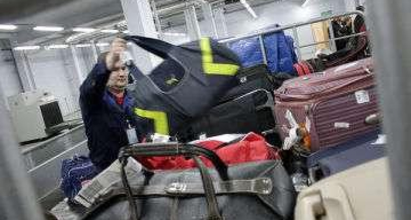 О выявлении запрещенной подкарантинной продукции в ручной клади и багаже пассажиров за период 09-15.09.2013 г