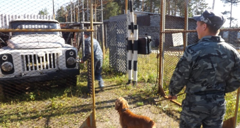 Борец с наркотиками – Ник из Ирбита