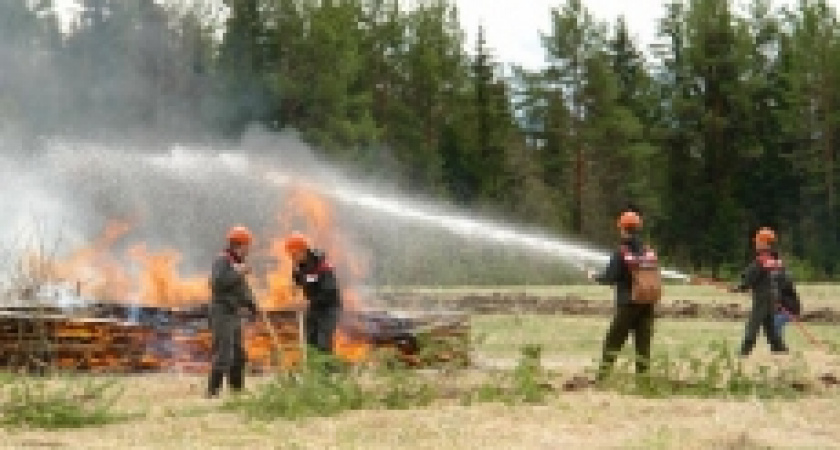 За четыре дня на Среднем Урале произошло 56 пожаров: погибло 6 человек