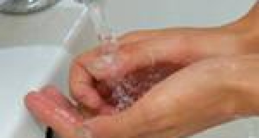 Профилактика острых кишечных заболеваний