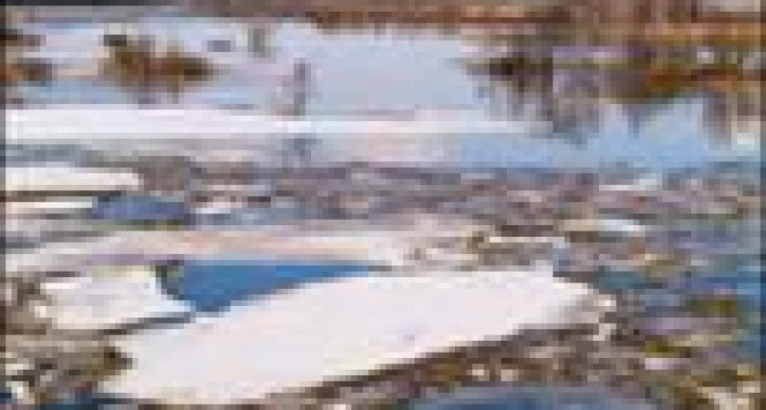 К половодью будь готов!