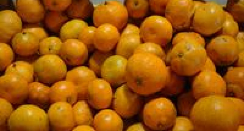 Оранжевый солнечный фрукт к Новому году