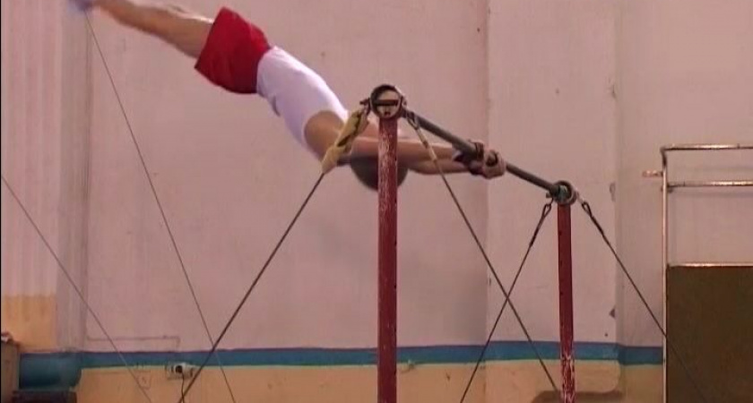 Награды завоевали спортивные гимнасты