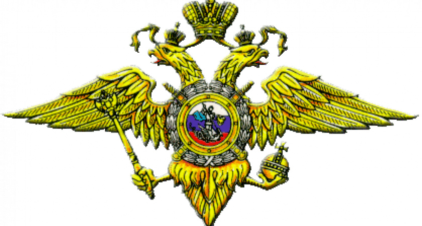 Внимание. Розыск
