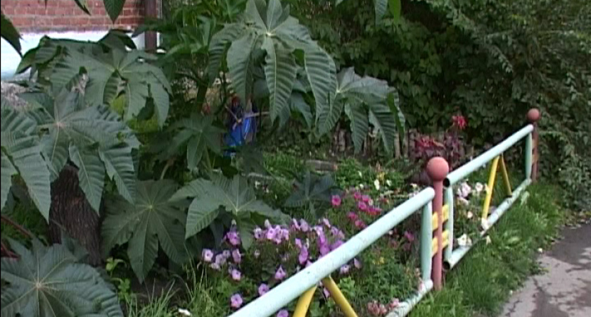 Конкурс «Красивый город» заканчивается