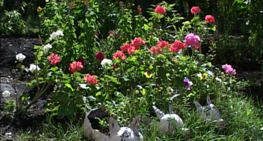 Фотоаппарат ждёт победителя - конкурс продолжается