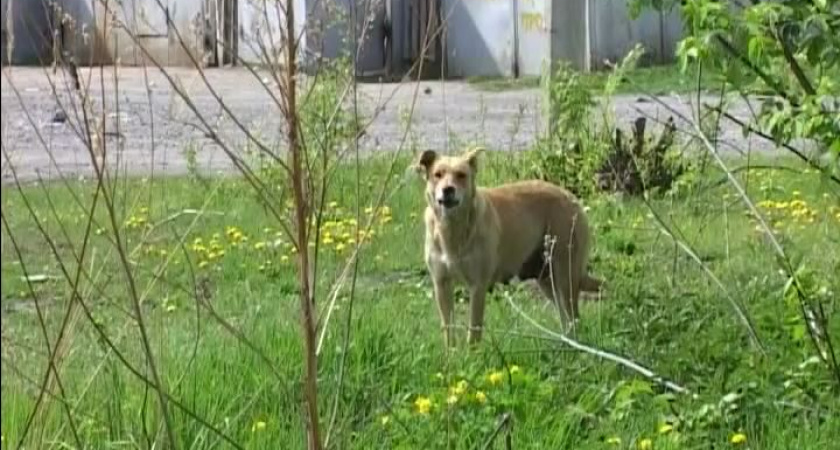 Официально. Противоэпидемическая комиссия