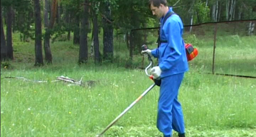 «Салют» ждёт детей