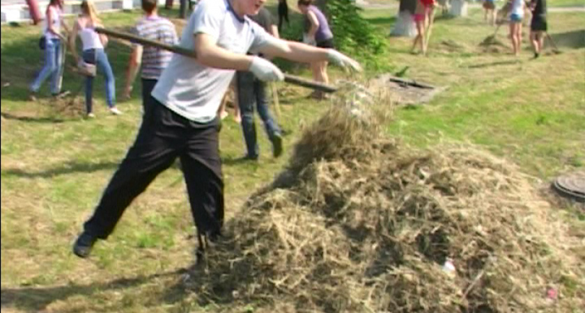 Актуально. Трудовые отряды