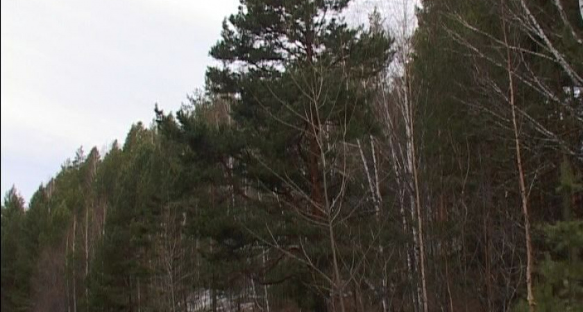 Противопожарный режим