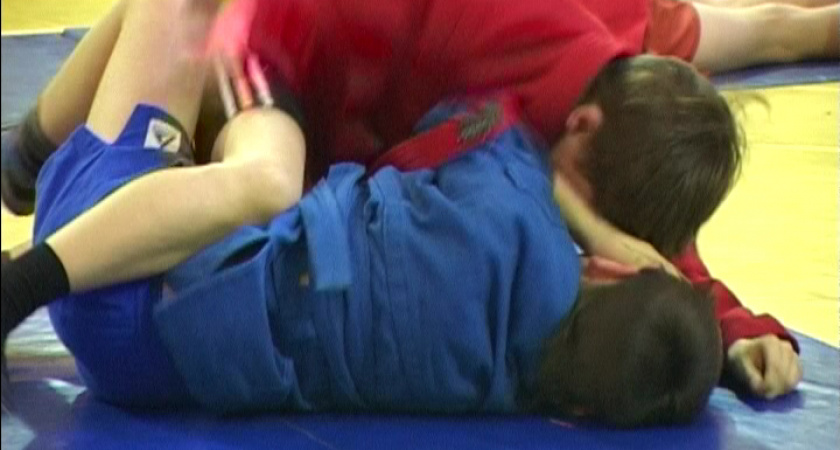 Самбисты – в призёрах