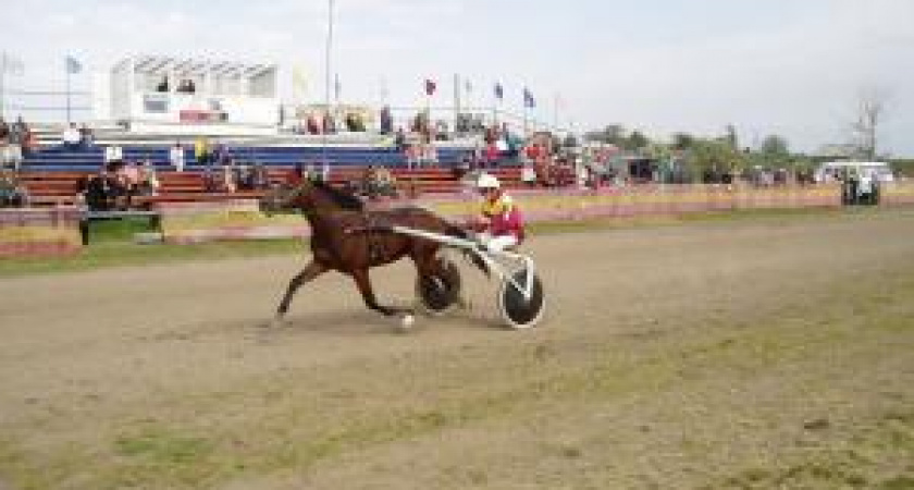 Сто десять лет коню под хвост