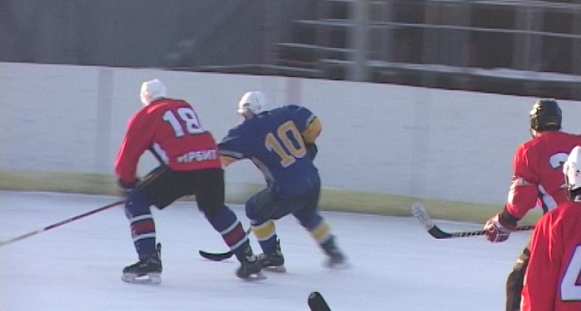 Товарищеский матч по хоккею