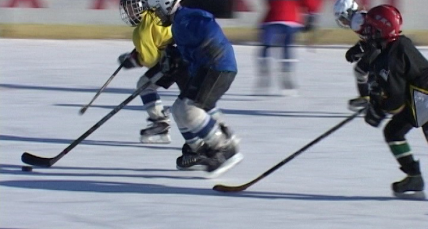 Товарищеский матч по хоккею
