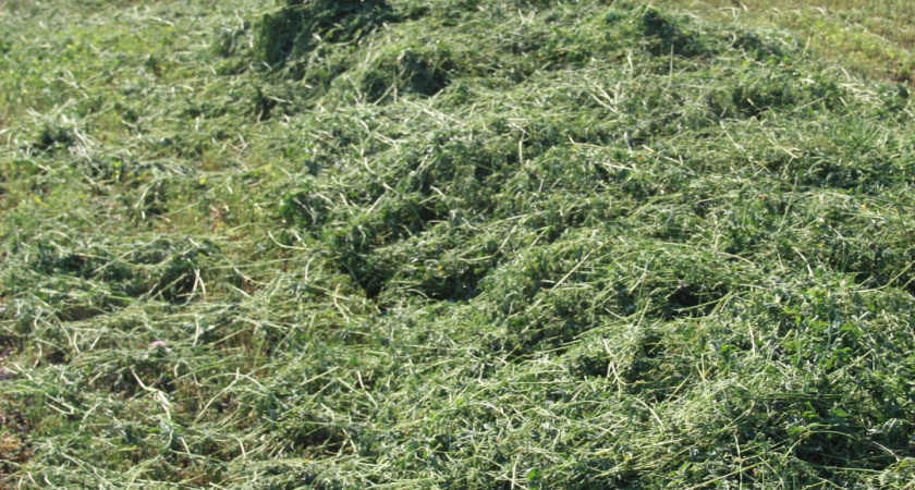 Глава Ирбитского МО с рабочим визитом посетил СПК "Килачевский"