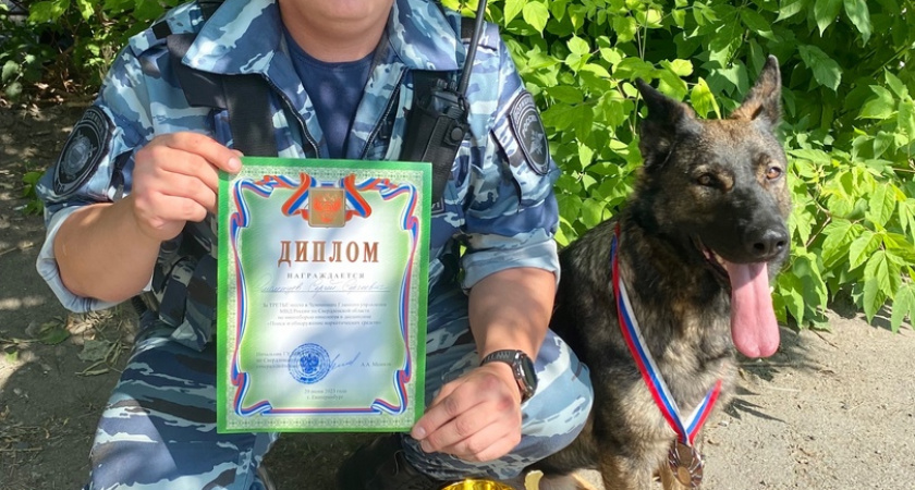 Кинологи из ОВД Ирбита приняли участие в Чемпионате Главного управления МВД России по Свердловской области