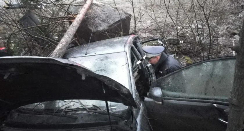 Водитель легковушки погиб в Свердловской области, врезавшись в дерево