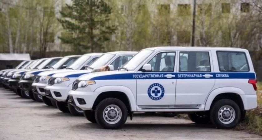 Ветеринарные службы Свердловской области получили автомобили для работы на отдалённых территориях
