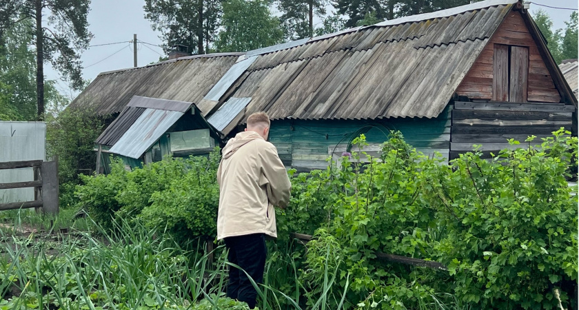 Втыкаю в 5-литровую бутылку шприц — и постоянная проблема в огороде решена: «прибору» радуюсь всё лето