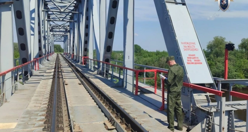 Девушка погибла под поездом на перегоне между станциями Ирбит и Лопатково
