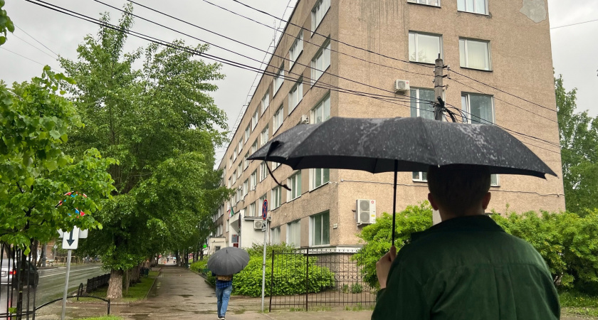 5 июня в Свердловской области дожди сменят жару, но пожароопасность останется высокой