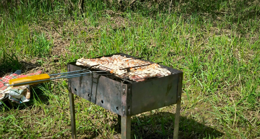 Не лимон и не кефир: в чём знающие хозяйки выдерживают мясо на шашлык — тает во рту, гости выпрашивают рецепт