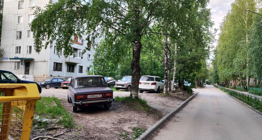 Запомните раз и навсегда: какие знаки, запрещающие парковку можно игнорировать – штраф вне закона