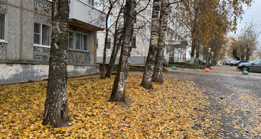 Синоптики дали пугающий прогноз на сентябрь. Вот какой будет осень