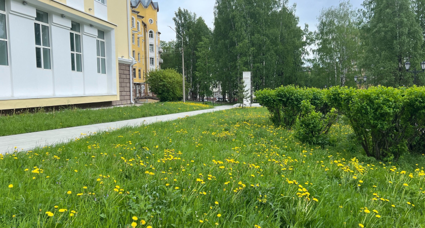 Жителей Ирбита ждет комфортная, но переменчивая погода