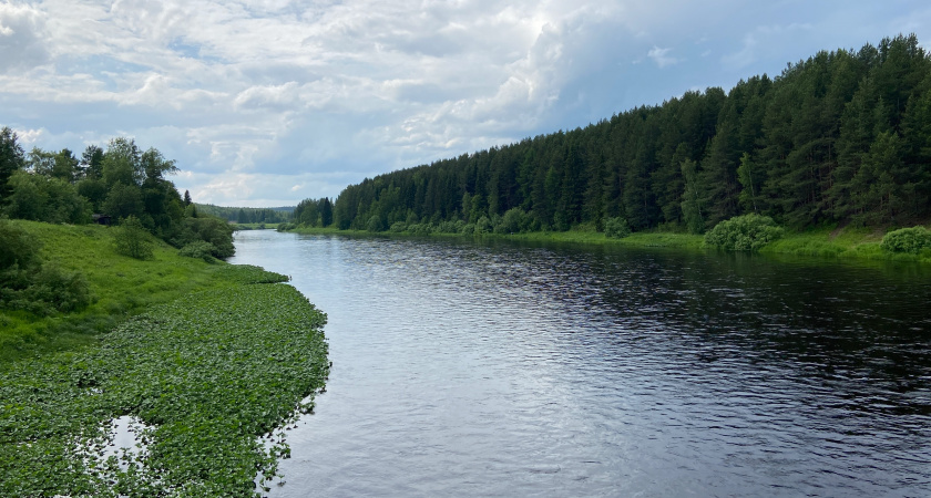 Водоканал города в Свердловской области уличили в экологических нарушениях