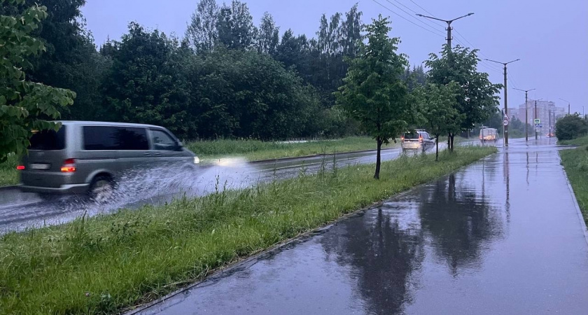В Свердловской области 3 сентября ожидаются дожди и усиление ветра