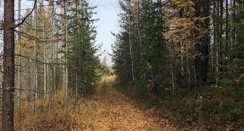 В августе свердловские поисковики нашли 100 человек