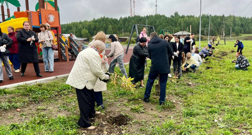 В Ирбитском районе молодежи предлагают новые меры поддержки для работы на селе