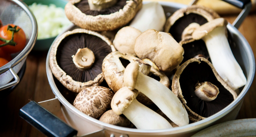 Сколько нужно варить грибы до полной готовности: запомните инструкцию раз и навсегда        