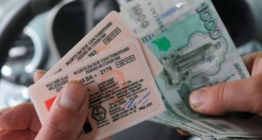 Ваши права превратятся в тыкву 1 марта 2027 года. Что нужно знать о новом законе, чтобы защитить себя