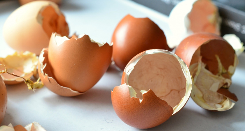 Полезно ли пить домашние сырые яйца: мнение врачей